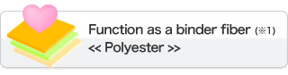 Function as a binder fiber <<Polyester>>