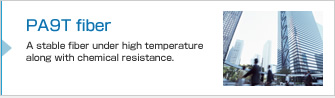 PA9T fiber